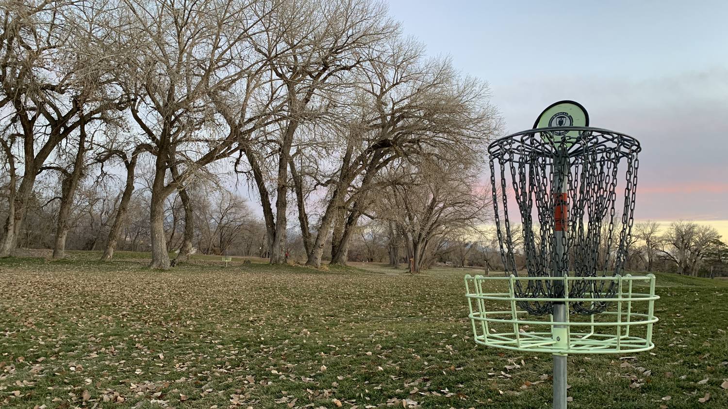 A disc golf basket alone in a wide field of bare cottonwoods at dusk, pink sky behind